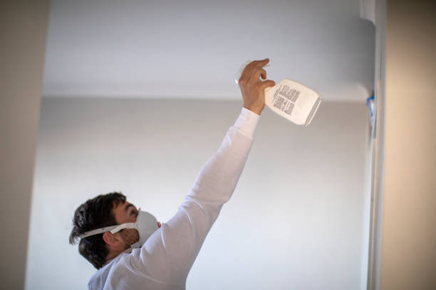 Best Mold Removal Company Near Me  in Nocona, TX
