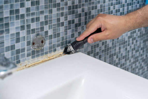Office Mold Removal Services in Nocona, TX
