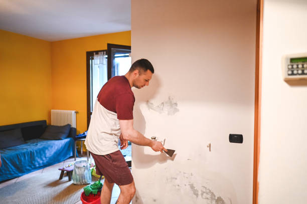 Best Attic Mold Removal  in Nocona, TX